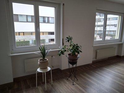 Therapieraum zur Untermiete in etablierter TCM-Praxis – Rapperswil SG