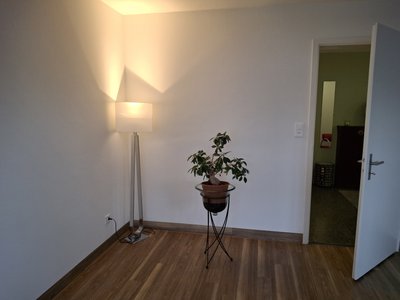 Therapieraum zur Untermiete in etablierter TCM-Praxis – Rapperswil SG - Image 2