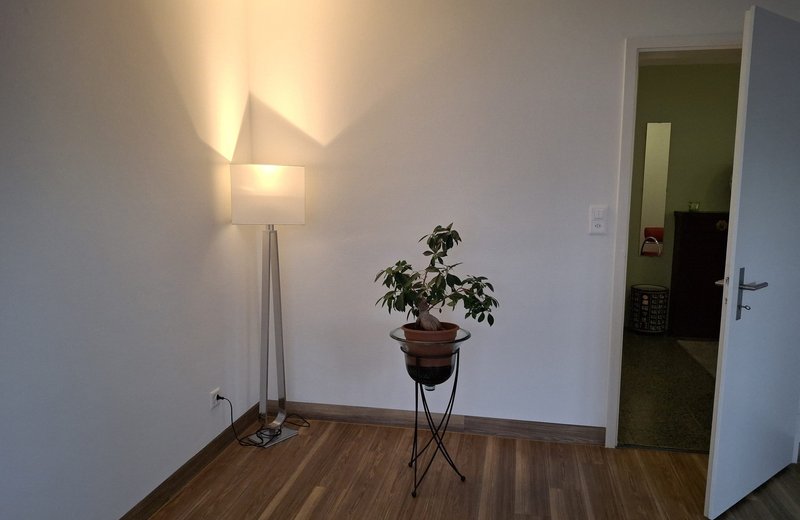 Therapieraum zur Untermiete in etablierter TCM-Praxis – Rapperswil SG - Image 2