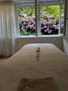 Attraktive Praxisräume auf 3 Halbetagen mit Panorama-Schaufenster in Zürich -4.5 Zimmer-Maisonettewohnung / Erdgeschoss - Image 9