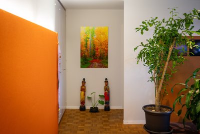 Gesundheitspraxis - Image 2