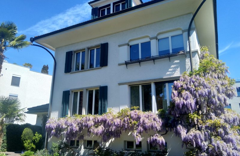 Praxisraum in Baar zu vermieten - Image 1