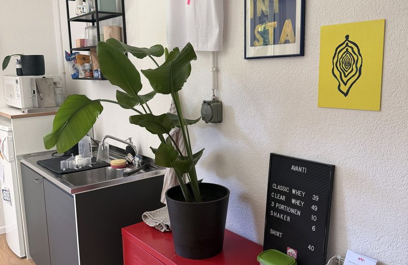 11 m² Behandlungsraum (inklusive elektrische Liege, Tücher und Reinigung) flexibel stunden-, tageweise oder fix mietbar - Bild 4