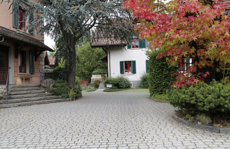 Heller Raum mit Blick ins Grüne - Bild 4
