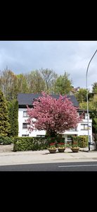 Attraktive Praxisnachfolge wegen Ruhestand im Zentrum von Herisau ( AR )   modernisierte Praxis, 150 qm direkt am Bahnhof - Image 15