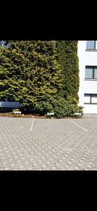 Attraktive Praxisnachfolge wegen Ruhestand im Zentrum von Herisau ( AR )   modernisierte Praxis, 150 qm direkt am Bahnhof - Bild 4