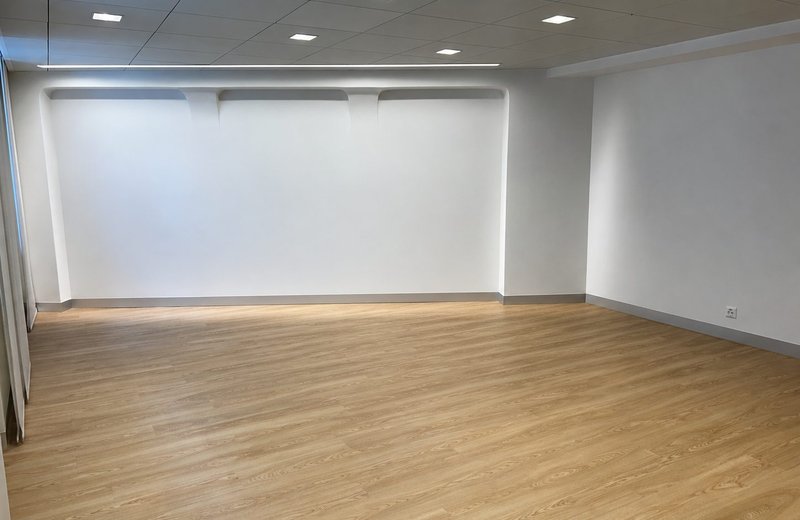 Neu renovierter Praxisraum, 32 m2 direkt am Löwenplatz - unmöbliert - Image 2