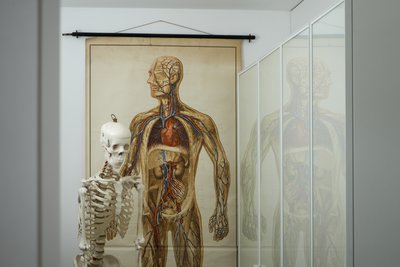 🌀 Wir haben den Raum – haben Sie die Energie dazu? - Image 4