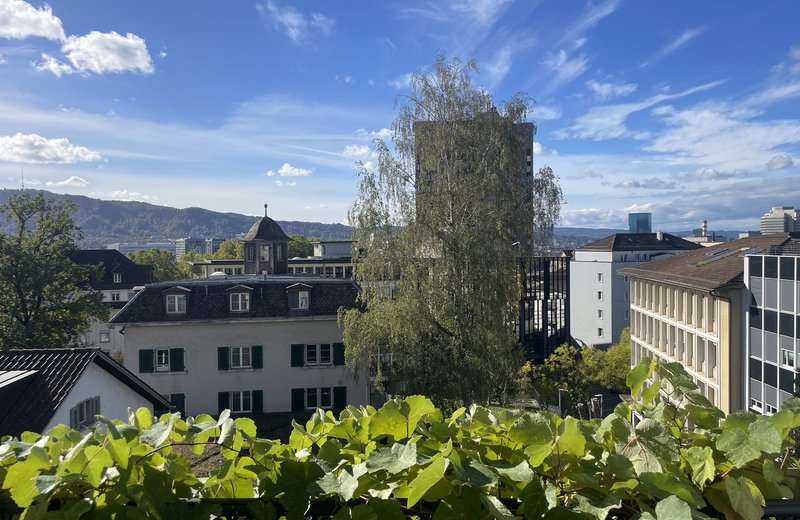 Lichtdurchfluteter, grossräumiger Praxisraum zentral aber ruhig gelegen in Zürich - Image 9